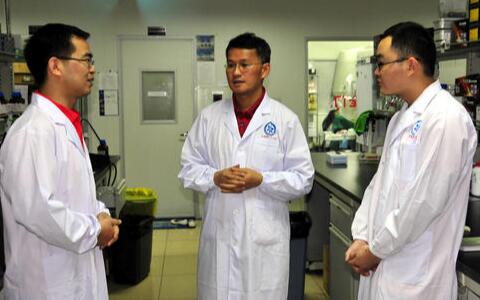 三七價格，三七粉價格